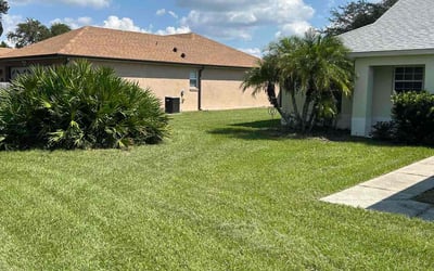 Photo of Stan S.'s yard after getting lawn care in Panorama City, CA