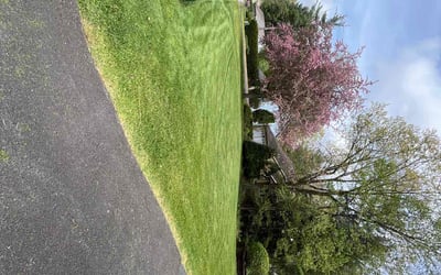 Photo of Patricia B.'s yard after getting lawn care in Clifton Park, NY