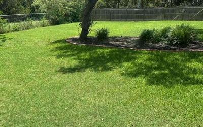 Photo of Barbara M.'s yard after getting lawn care in San Antonio, TX