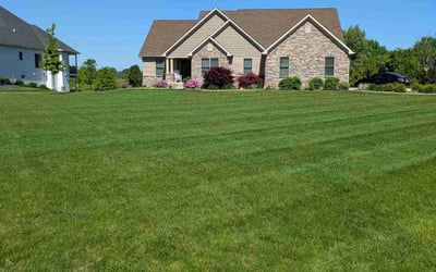 Photo of James M.'s yard after getting lawn care in Wadsworth, OH