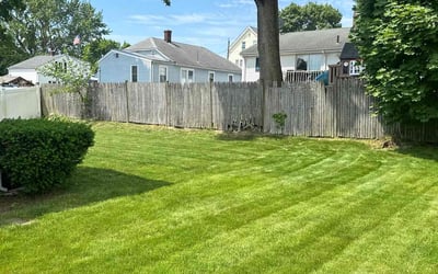 Photo of suzanne g.'s yard after getting lawn care in Cumberland, RI