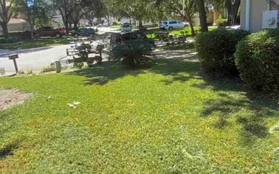 Photo of Christopher T.'s yard after getting lawn care in Saint Augustine, FL