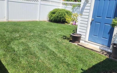 Photo of Angela H.'s yard after getting lawn care in Elizabeth, NJ