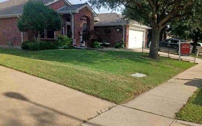 Photo of Sydney L.'s yard after getting lawn care in Streetsboro, OH