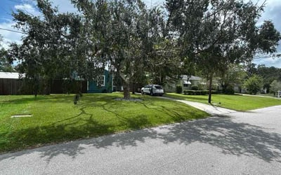 Photo of Dan F.'s yard after getting lawn care in Tampa, FL
