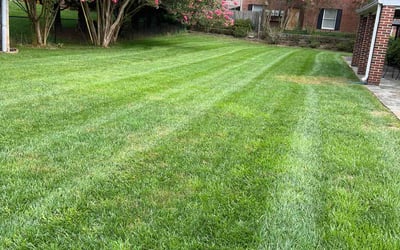 Photo of Mary D.'s yard after getting lawn care in Ellicott City, MD