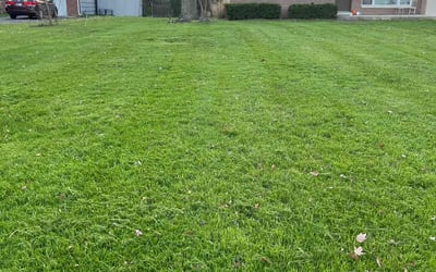 Photo of Jim S.'s yard after getting lawn care in Indianapolis, IN