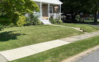 Photo of Saba J.'s yard after getting lawn care in Lansdowne, PA