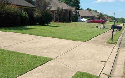 Photo of Beth A.'s yard after getting lawn care in Canton, MS