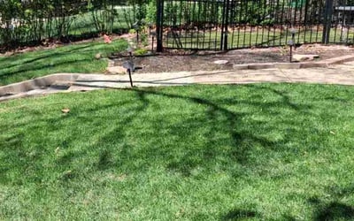 Photo of Devin K.'s yard after getting lawn care in Omaha, NE