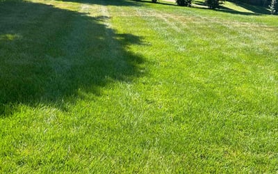 Photo of Sheri M.'s yard after getting lawn care in Midlothian, VA