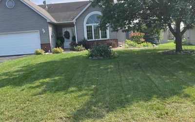 Photo of Barbara k.'s yard after getting lawn care in Ramsey, MN