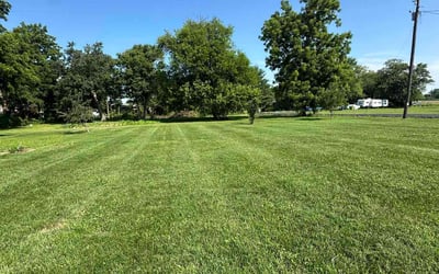 Photo of Dean H.'s yard after getting lawn care in Cedar Park, TX