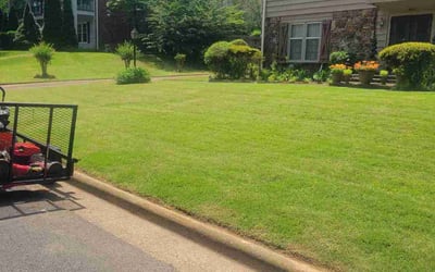 Photo of Sara G.'s yard after getting lawn care in Rogersville, TN