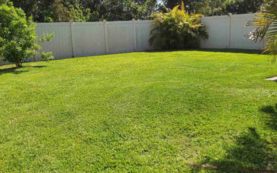 Photo of Mckayla K.'s yard after getting lawn care in Palmetto, FL