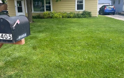 Photo of George H.'s yard after getting lawn care in Vernon Hills, IL