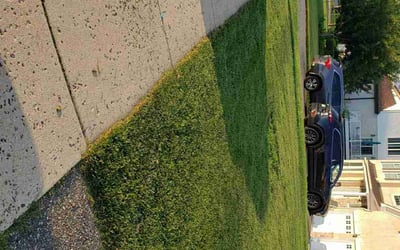 Photo of Michael H.'s yard after getting lawn care in Wayne, PA