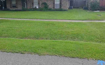 Photo of Jennifer P.'s yard after getting lawn care in Zachary, LA