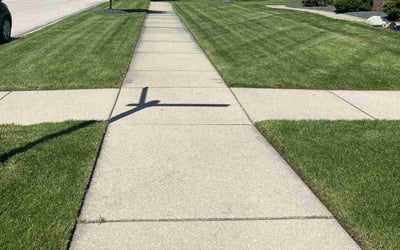 Photo of Annice C.'s yard after getting lawn care in Lexington, NC