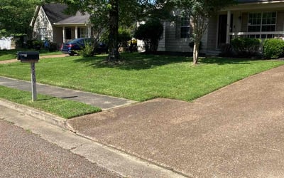 Photo of Desie H.'s yard after getting lawn care in Forney, TX