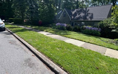 Photo of Brenda R.'s yard after getting lawn care in Drexel Hill, PA