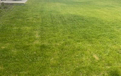 Photo of Nikita B.'s yard after getting lawn care in Ridgefield, WA