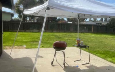 Photo of Christine N.'s yard after getting lawn care in Sanger, CA