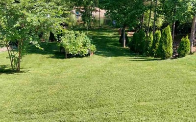 Photo of Natasha E.'s yard after getting lawn care in Denver, NC