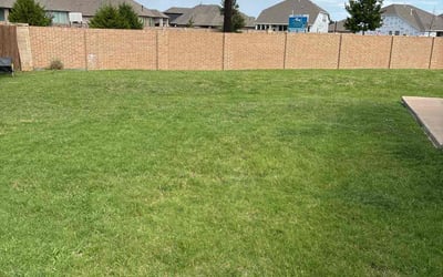 Photo of Deandre B.'s yard after getting lawn care in Temple Hills, MD