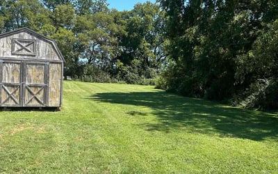 Photo of Tammi J.'s yard after getting lawn care in Gallatin, TN