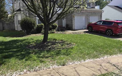 Photo of Connie S.'s yard after getting lawn care in Bel Air, MD