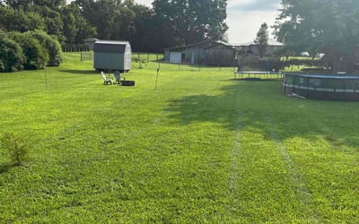 Photo of Donnell B.'s yard after getting lawn care in Maryville, TN