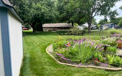 Photo of Craig S.'s yard after getting lawn care in Delray Beach, FL
