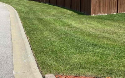 Photo of Wendy B.'s yard after getting lawn care in Blythewood, SC