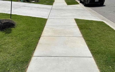 Photo of Missy Y.'s yard after getting lawn care in Hutto, TX