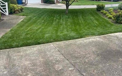 Photo of Barbara Z.'s yard after getting lawn care in Fuquay Varina, NC