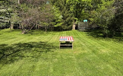 Photo of Dee W.'s yard after getting lawn care in Chevy Chase, MD