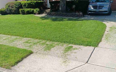 Photo of Audie A.'s yard after getting lawn care in Tonawanda, NY