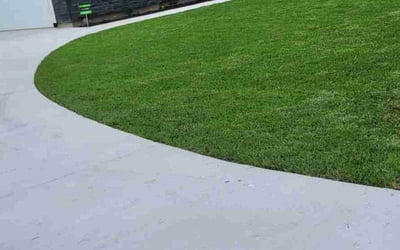 Photo of Santresa W.'s yard after getting lawn care in Magnolia, TX