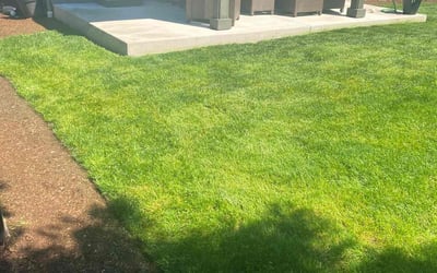 Photo of Jerry H.'s yard after getting lawn care in Vancouver, WA