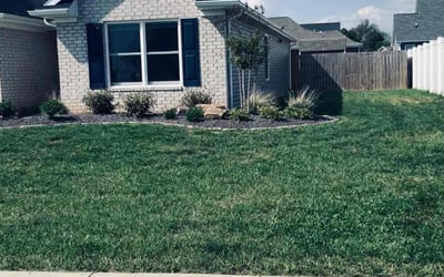 Photo of Haley P.'s yard after getting lawn care in Evansville, IN