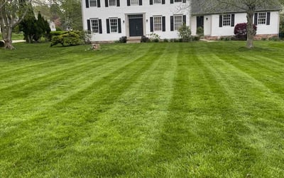 Photo of Kat P.'s yard after getting lawn care in Hudson, OH