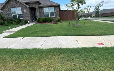 Photo of Paige E.'s yard after getting lawn care in Forney, TX