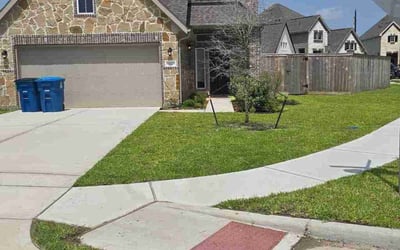 Photo of Elaine J.'s yard after getting lawn care in Kearny, NJ