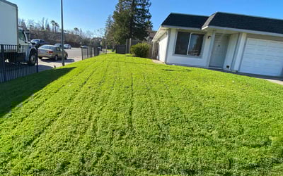 Photo of Ed J.'s yard after getting lawn care in West Sacramento, CA