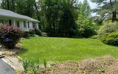 Photo of Nancy R.'s yard after getting lawn care in Manassas, VA