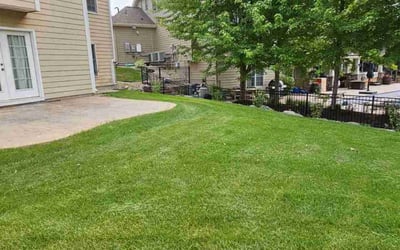 Photo of Vicki T.'s yard after getting lawn care in Appleton, WI