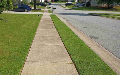 Photo of Katie C.'s yard after getting lawn care in Washington, NJ