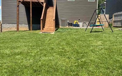 Photo of Matt H.'s yard after getting lawn care in Hopkinsville, KY