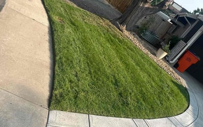 Photo of Jonathan S.'s yard after getting lawn care in Westminster, CO